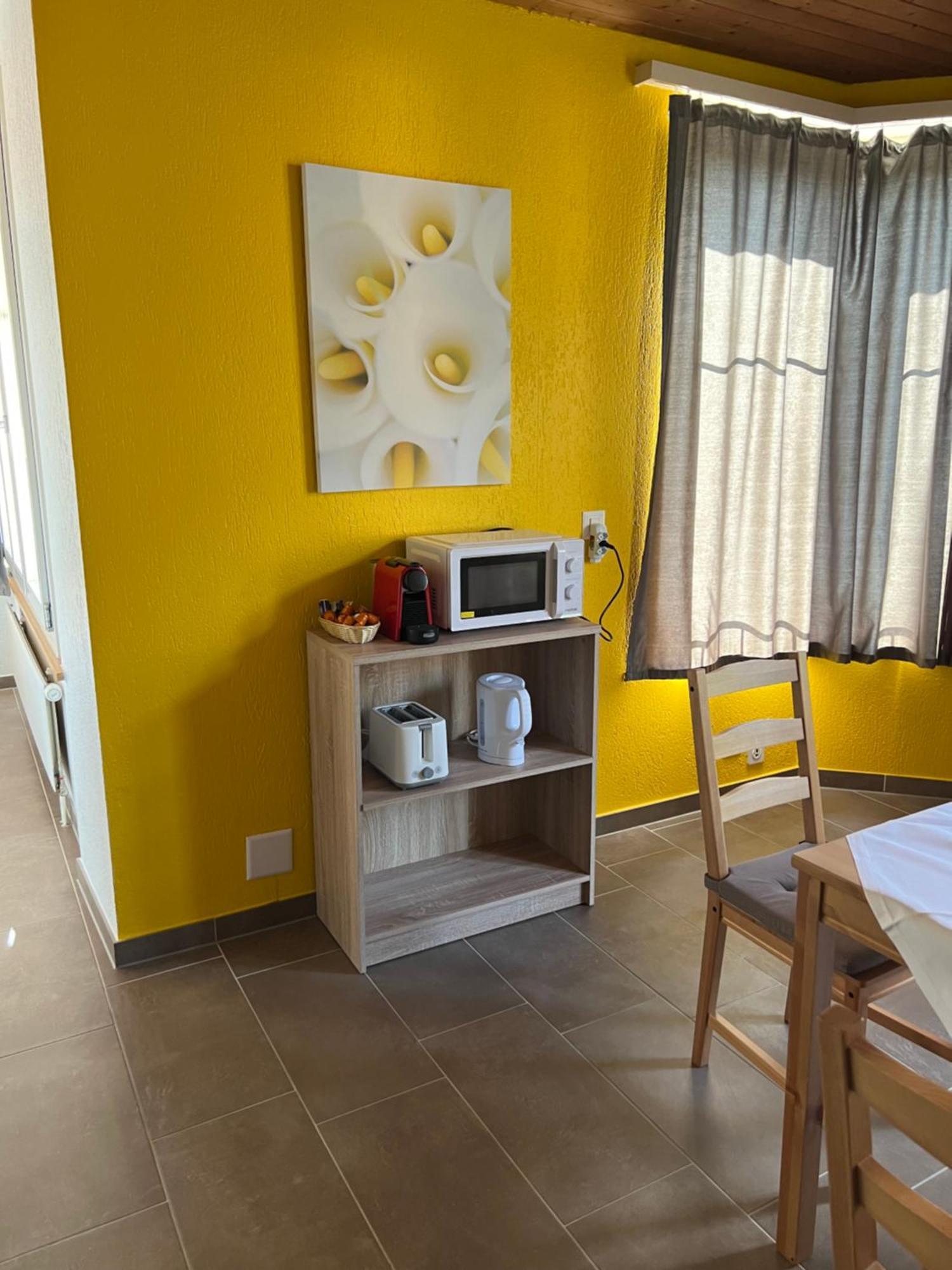 Apartament Rosy Интерлакен Экстерьер фото