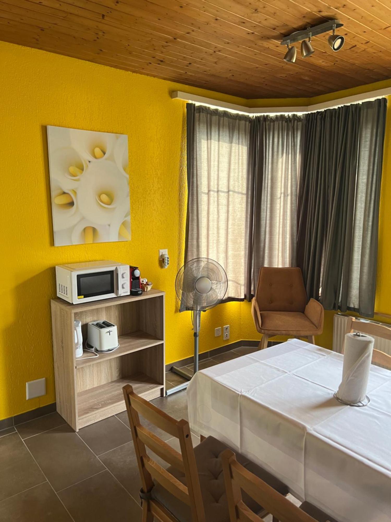 Apartament Rosy Интерлакен Экстерьер фото